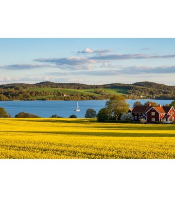 From historic cities to stunning nature reserves, discover the top experiences and hidden gems in Skåne, Sweden’s southernmost province.