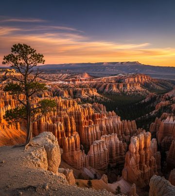 Marvel at Farview Point—unbeatable panoramic vistas, manageable access, and a slice of the park’s unique geology all in a single stop.