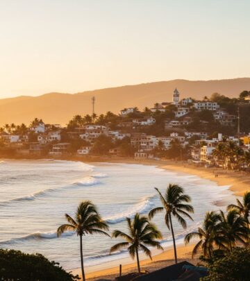 realted-article-image