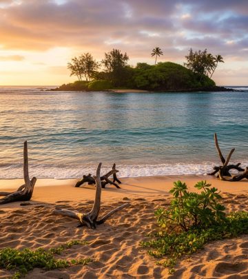 Discover Sand Island State Recreation Area: a tranquil urban park in Honolulu known for its wide sandy beach, water activities, and serene escapes from city bustle.